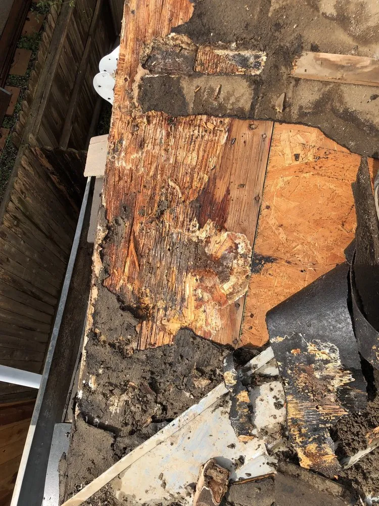 Slide of Straight Edge Roofing