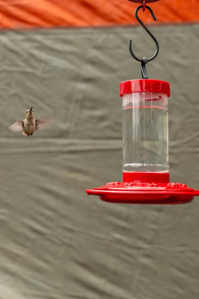 Slide of Stratton Termite & Roofing Solutions