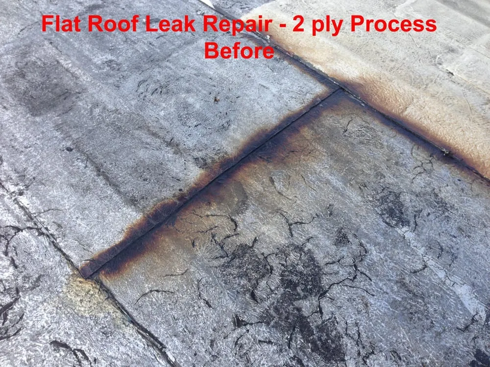 Slide of Strictly Roofs