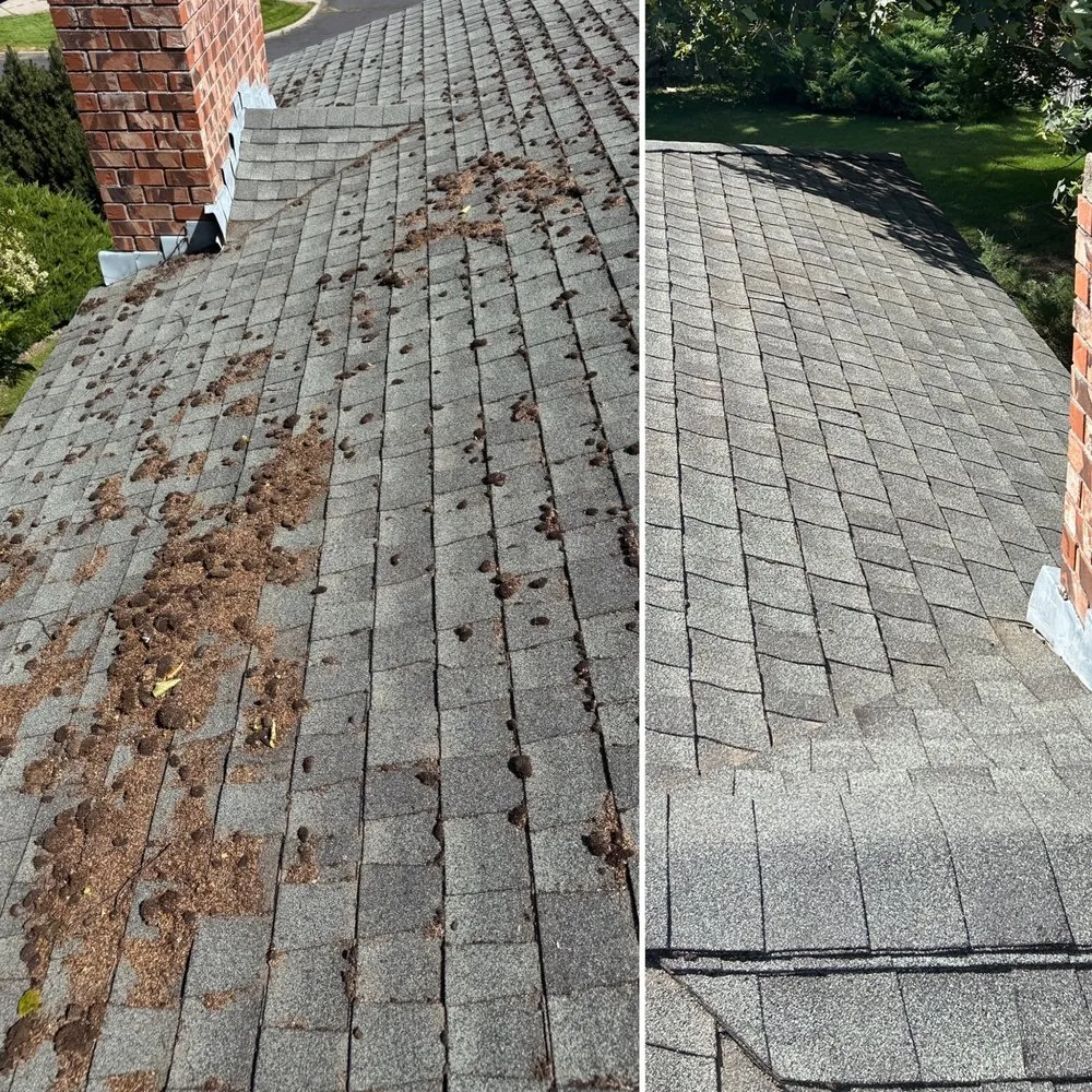 Slide of Strom Roofing