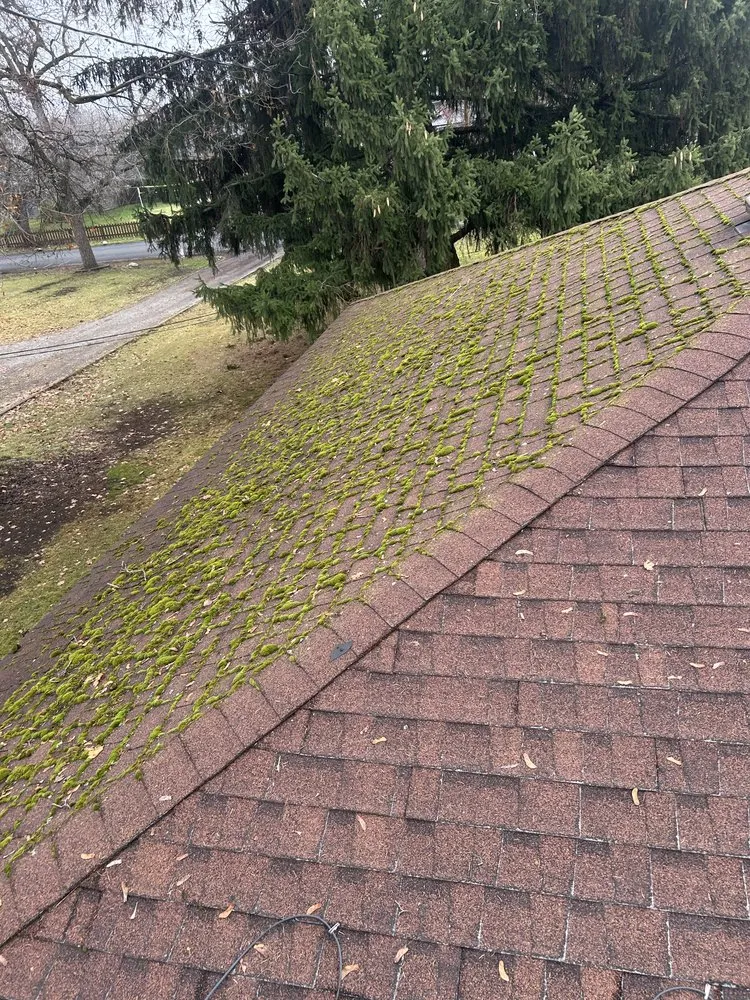 Slide of Strom Roofing