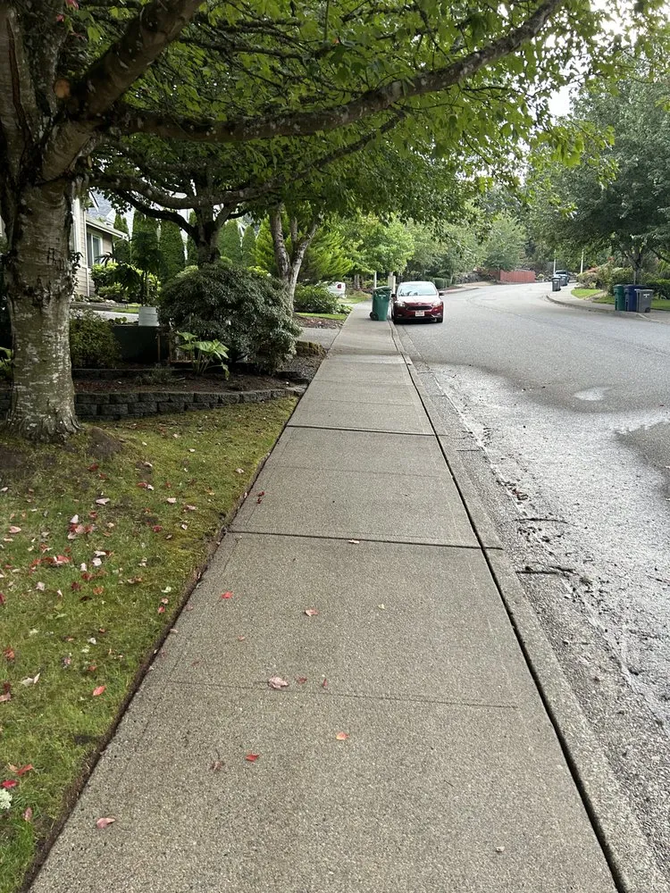 Slide of Strong Improvement Pressure Washing