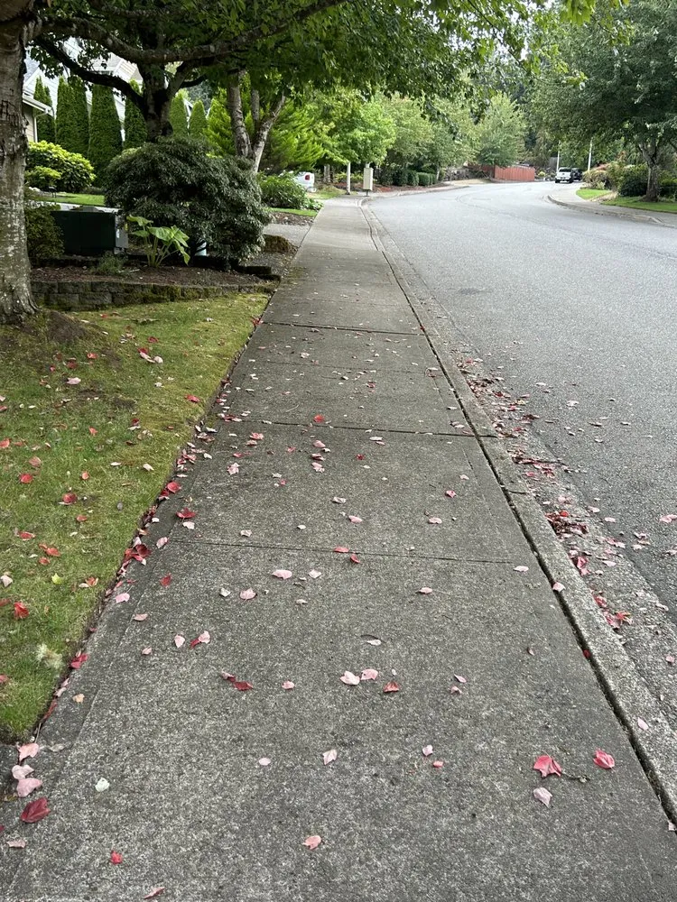 Slide of Strong Improvement Pressure Washing