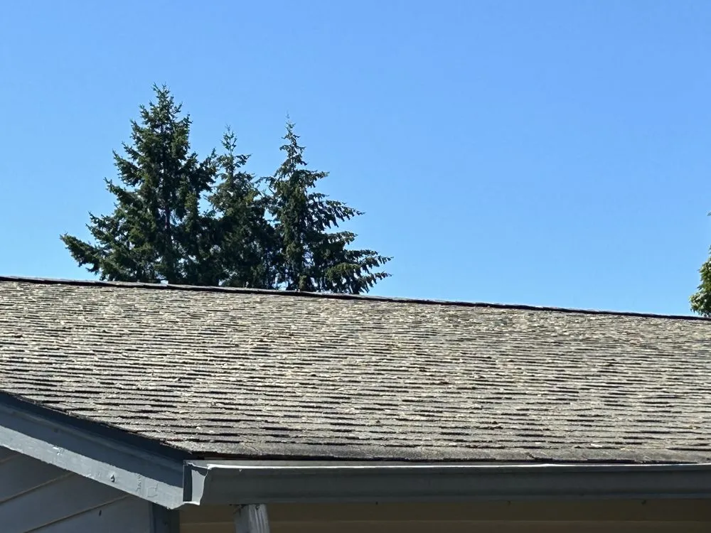 Slide of Strong Improvement Pressure Washing