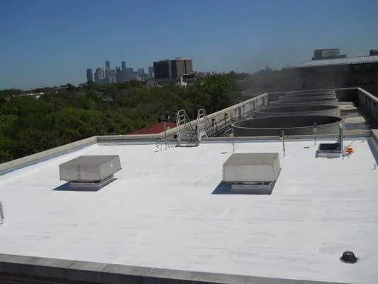 Structure Cleaning and Coating Logo