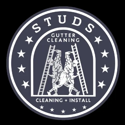 Slide of Studs Gutter Cleaning