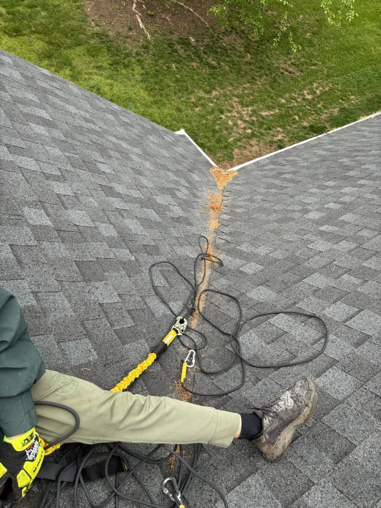 Slide of Studs Gutter Cleaning