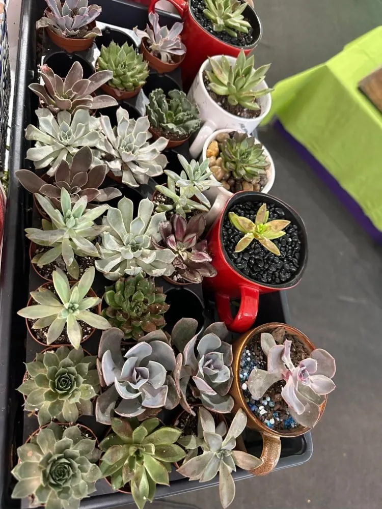 Slide of Sublime Solar Home & Garden Solutions