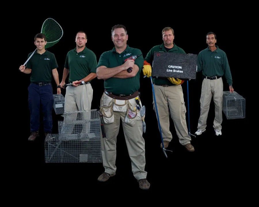 Slide of Summit Environmental Solutions