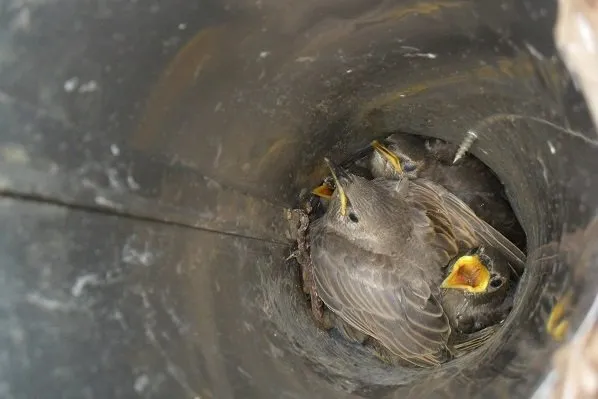 Slide of Summit Environmental Solutions