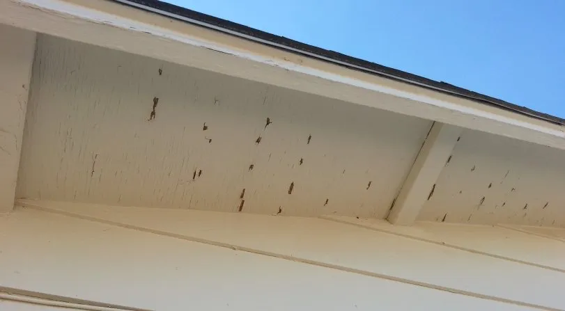 Slide of Sun City Roofing