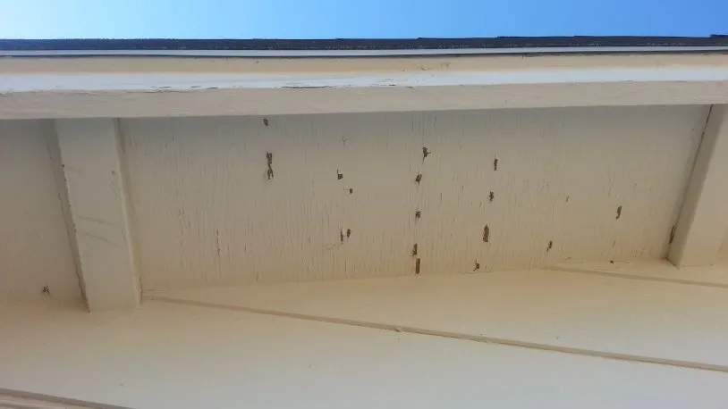 Slide of Sun City Roofing