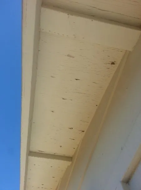 Slide of Sun City Roofing