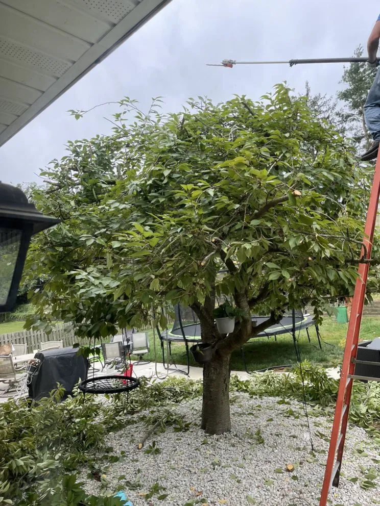 Slide of Sun Clean Energy Partners