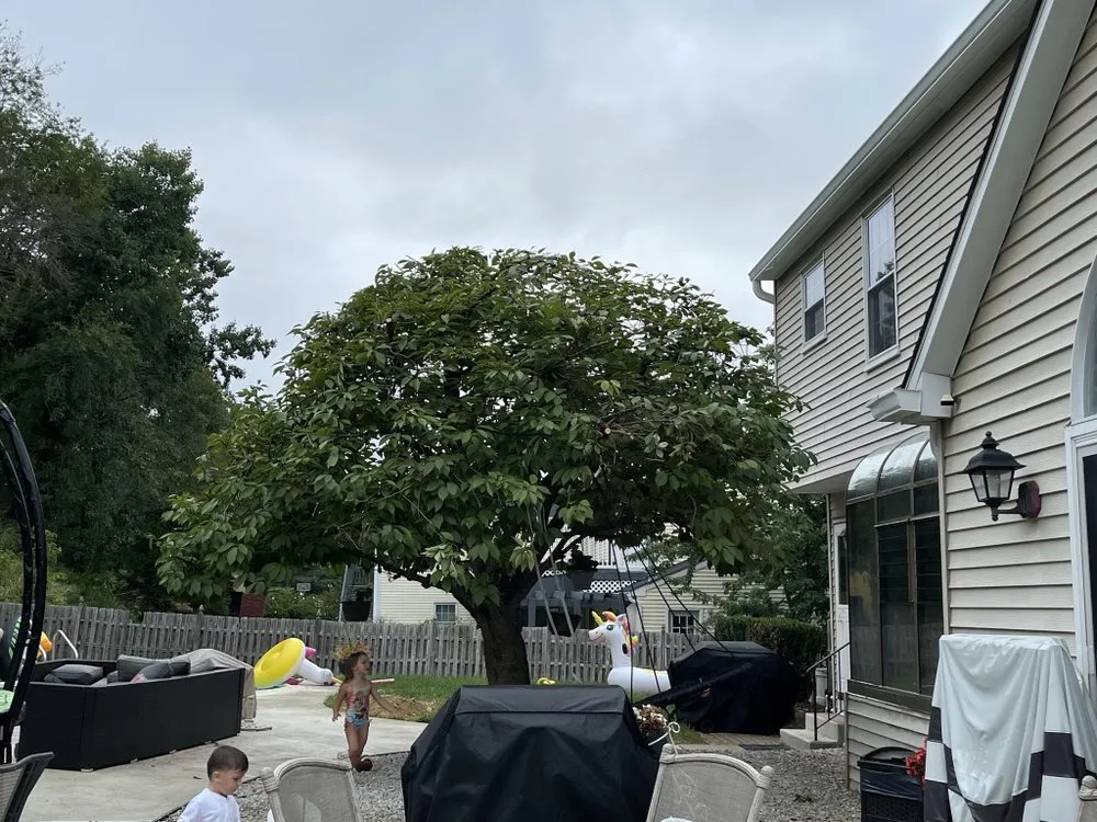 Slide of Sun Clean Energy Partners