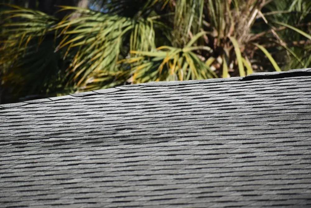 Slide of Sun Coast Roofing & Solar