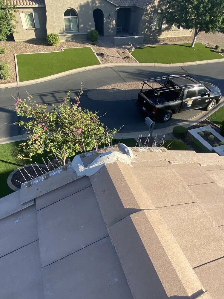 Slide of Sun State Roofing