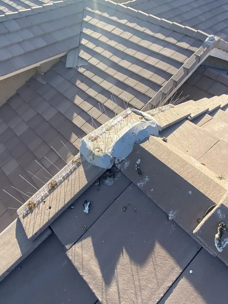 Slide of Sun State Roofing