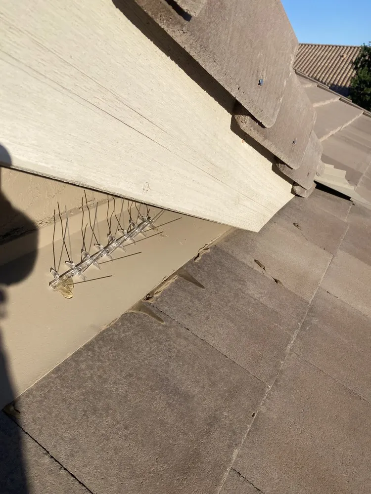 Slide of Sun State Roofing