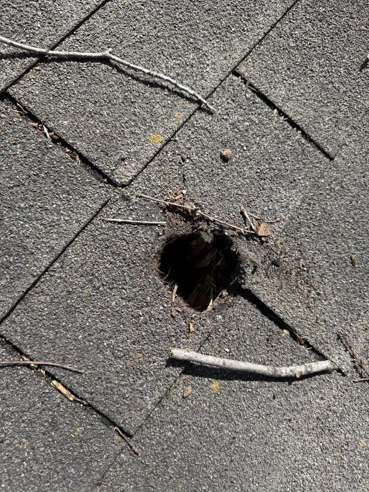 Slide of Sung Puma Roofing & Restoration