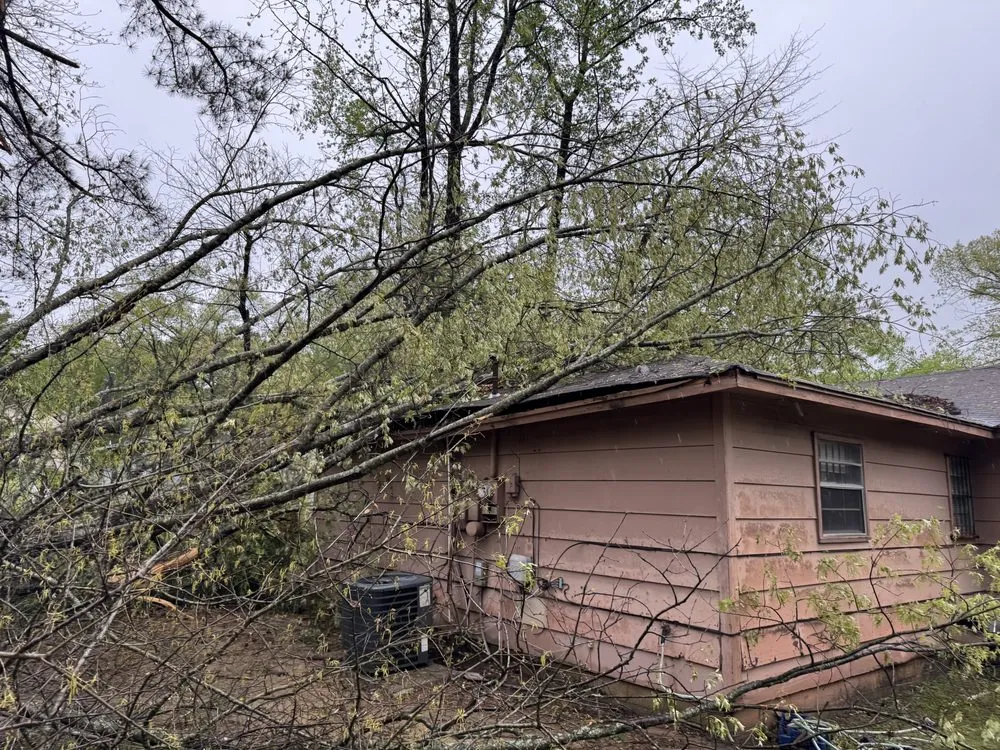 Slide of Sung Puma Roofing & Restoration