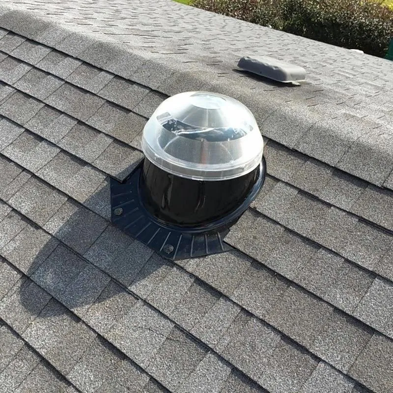 Slide of Sunny Skylights