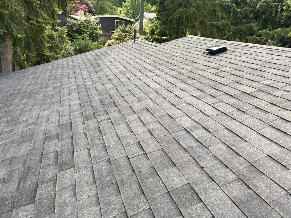 Slide of Sunnys roofing