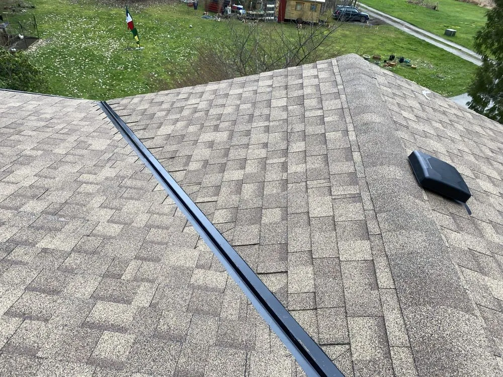 Slide of Sunnys roofing