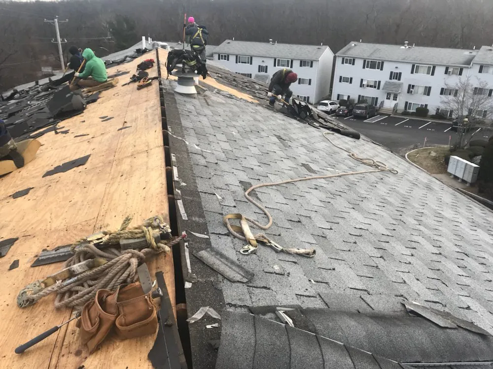 Slide of Sunrise Exterior