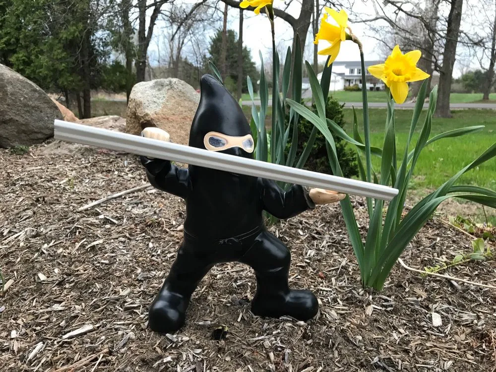 Slide of Sunrise Seamless