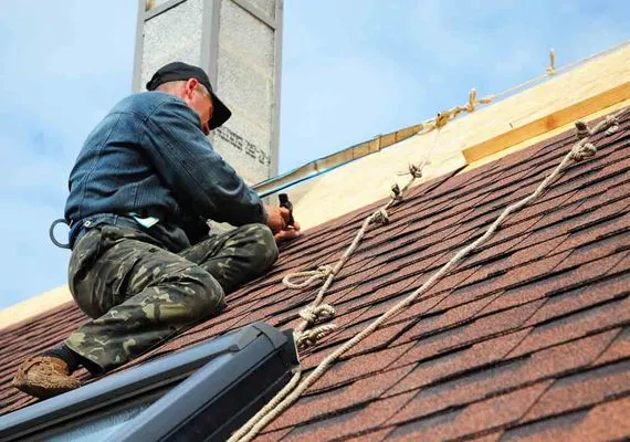 Sunset natural light and improvements Logo