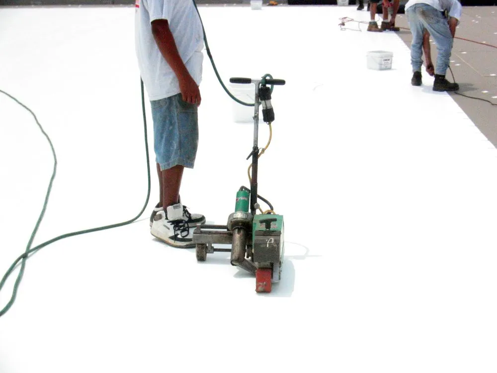 Slide of Sunset View Coatings