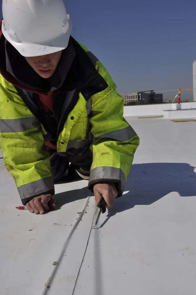 Slide of Sunset View Coatings