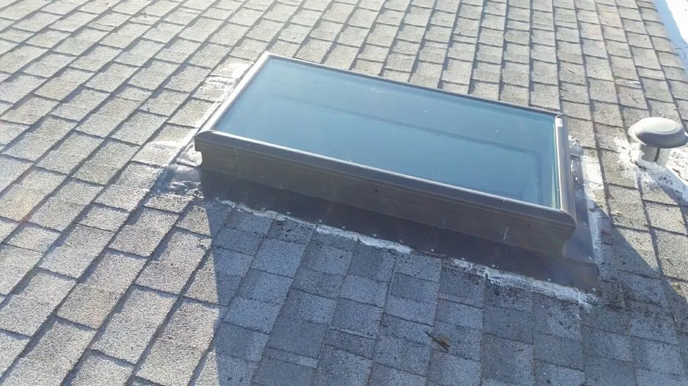 Slide of Sunshine Experts