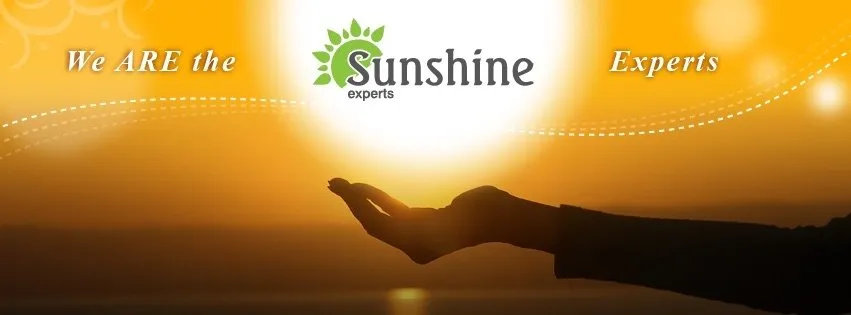 Slide of Sunshine Experts