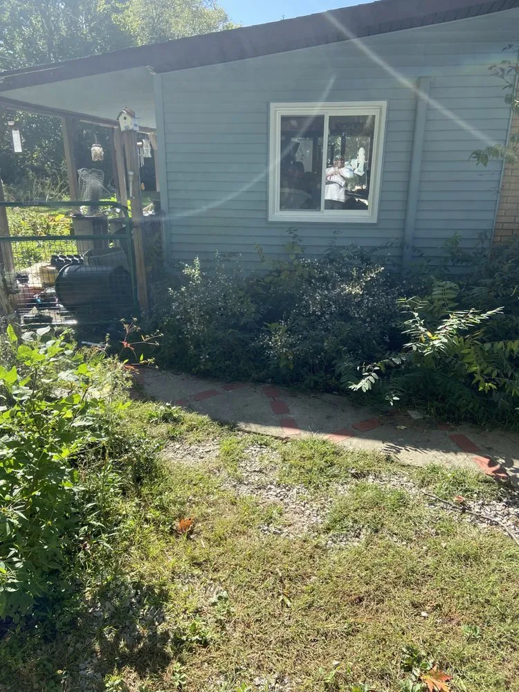 Slide of Sunshine windows