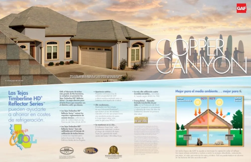 Slide of Super Mario Roofing