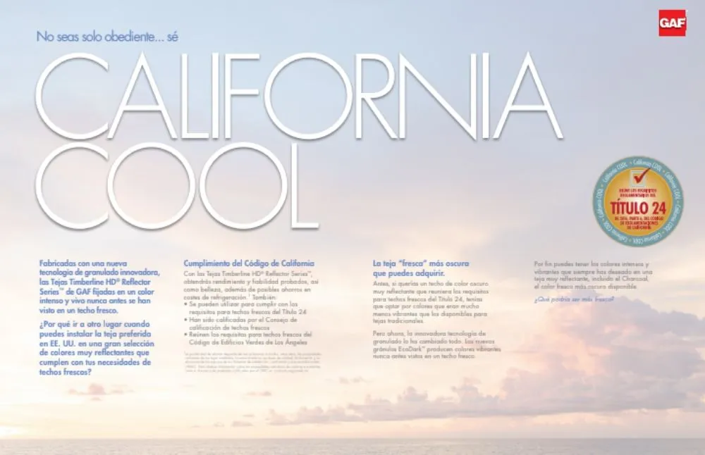 Slide of Super Mario Roofing