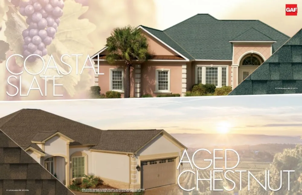 Slide of Super Mario Roofing