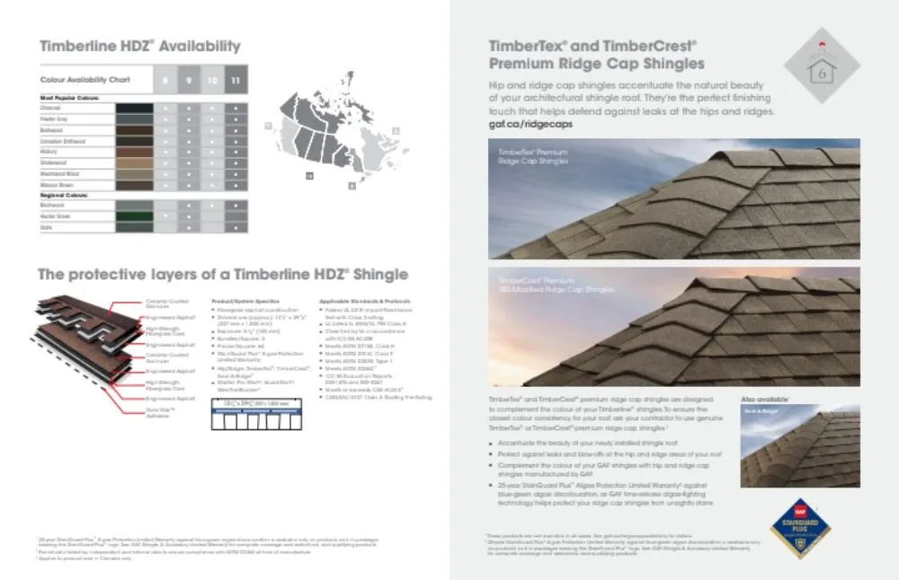 Slide of Super Mario Roofing