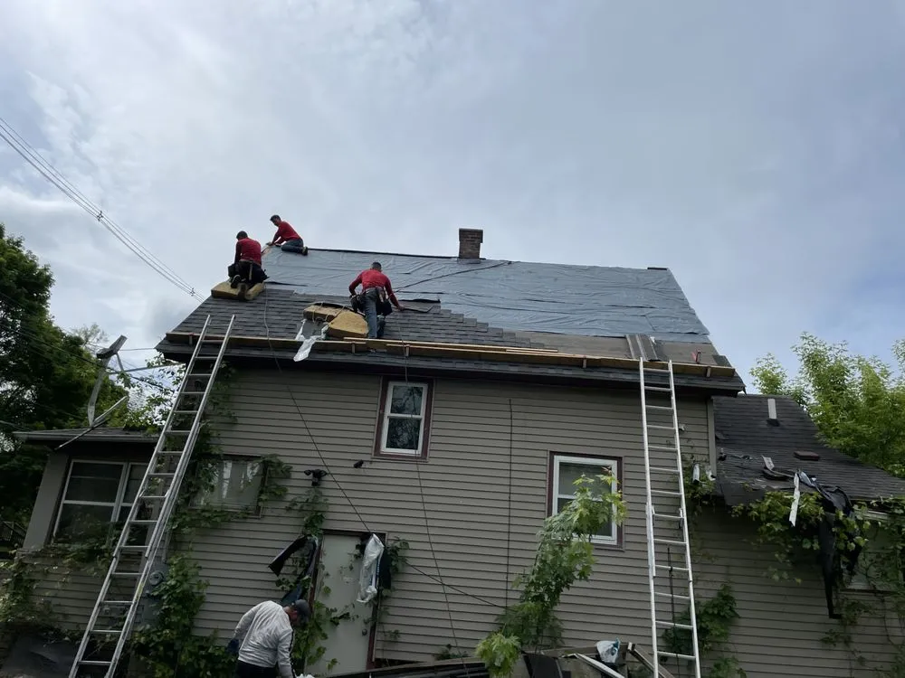 Slide of Super Mario's Roofing