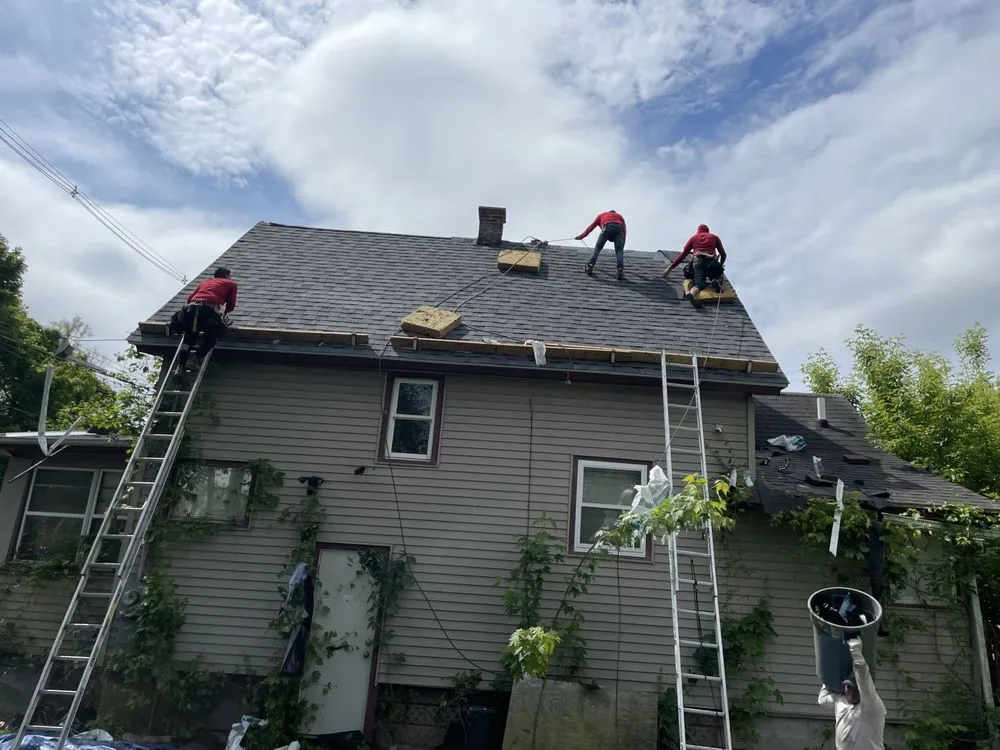 Slide of Super Mario's Roofing