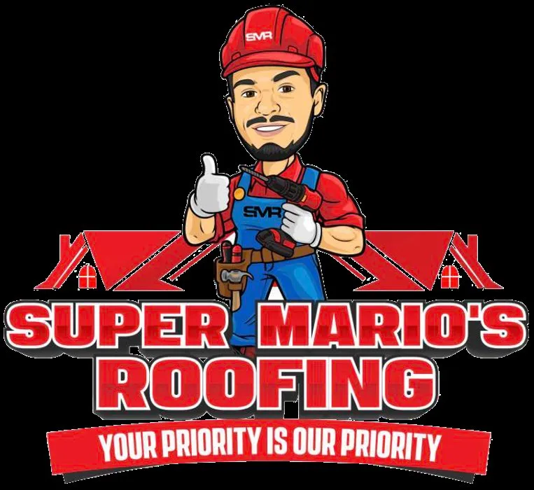 Slide of Super Mario's Roofing