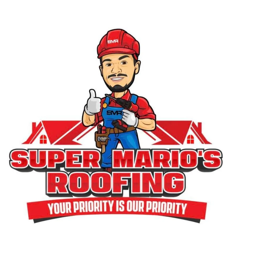 Slide of Super Mario's Roofing