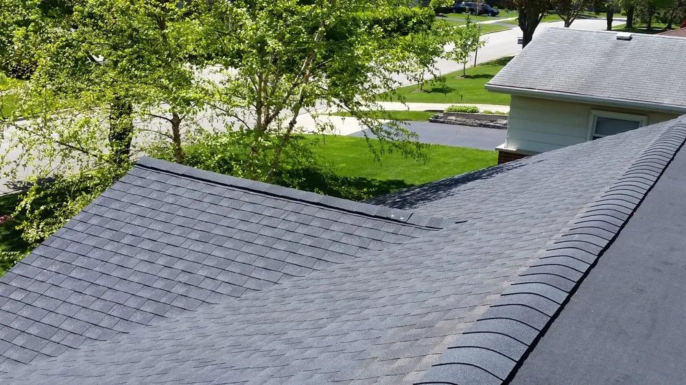 Slide of Super Roofer