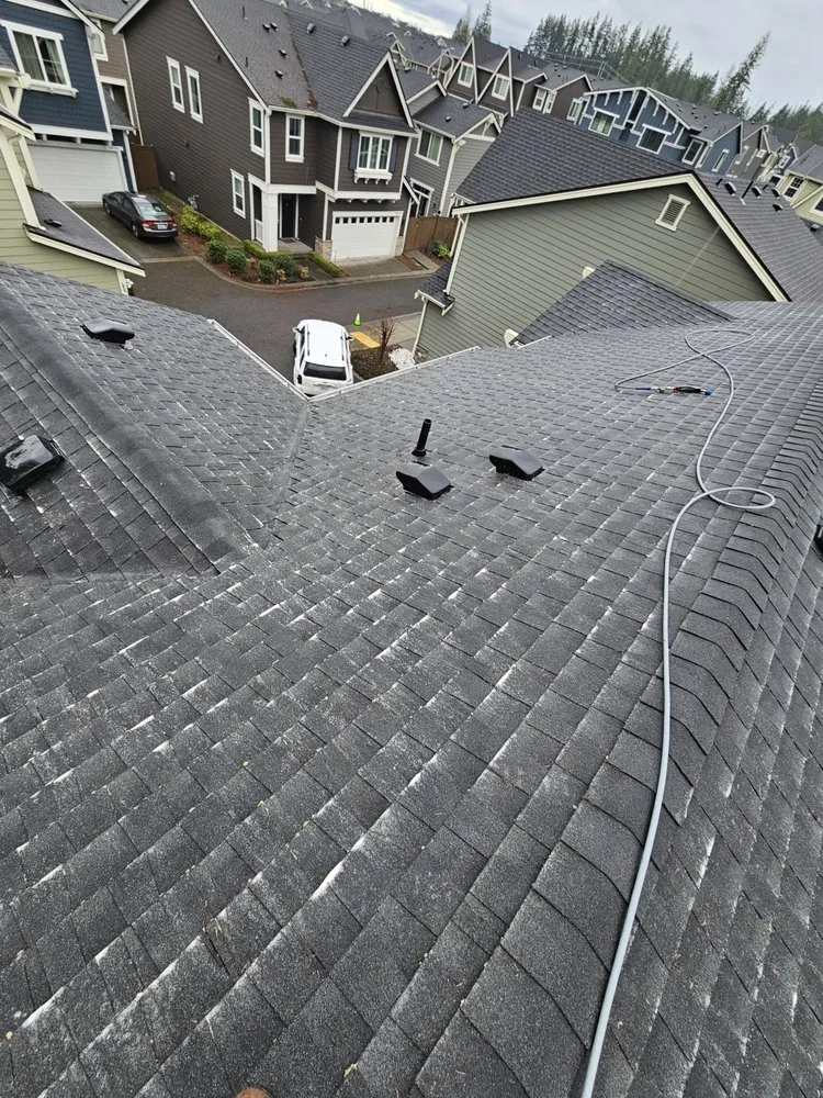 Slide of Super Softwashing