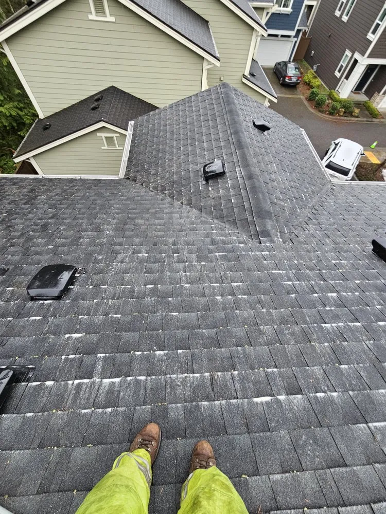 Slide of Super Softwashing