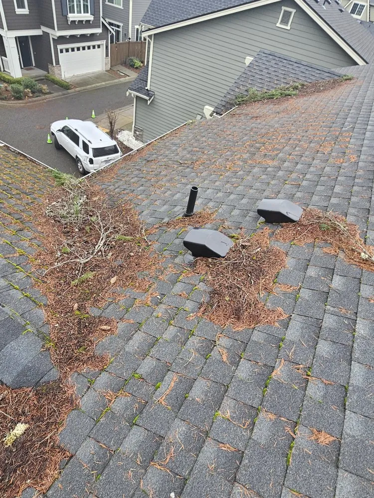 Slide of Super Softwashing