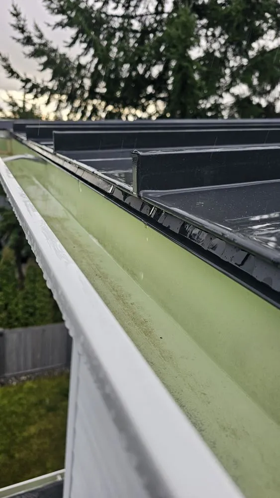 Slide of Super Softwashing