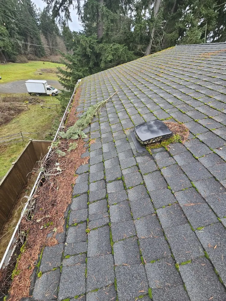 Slide of Super Softwashing